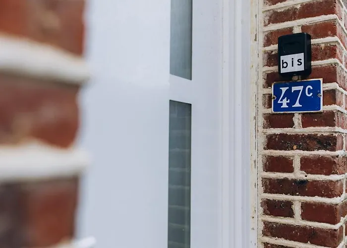 Le Grand Bleu, 300m De La Et Centre *