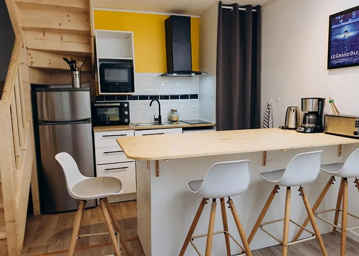 Le Grand Bleu, 300m De La Et Centre *